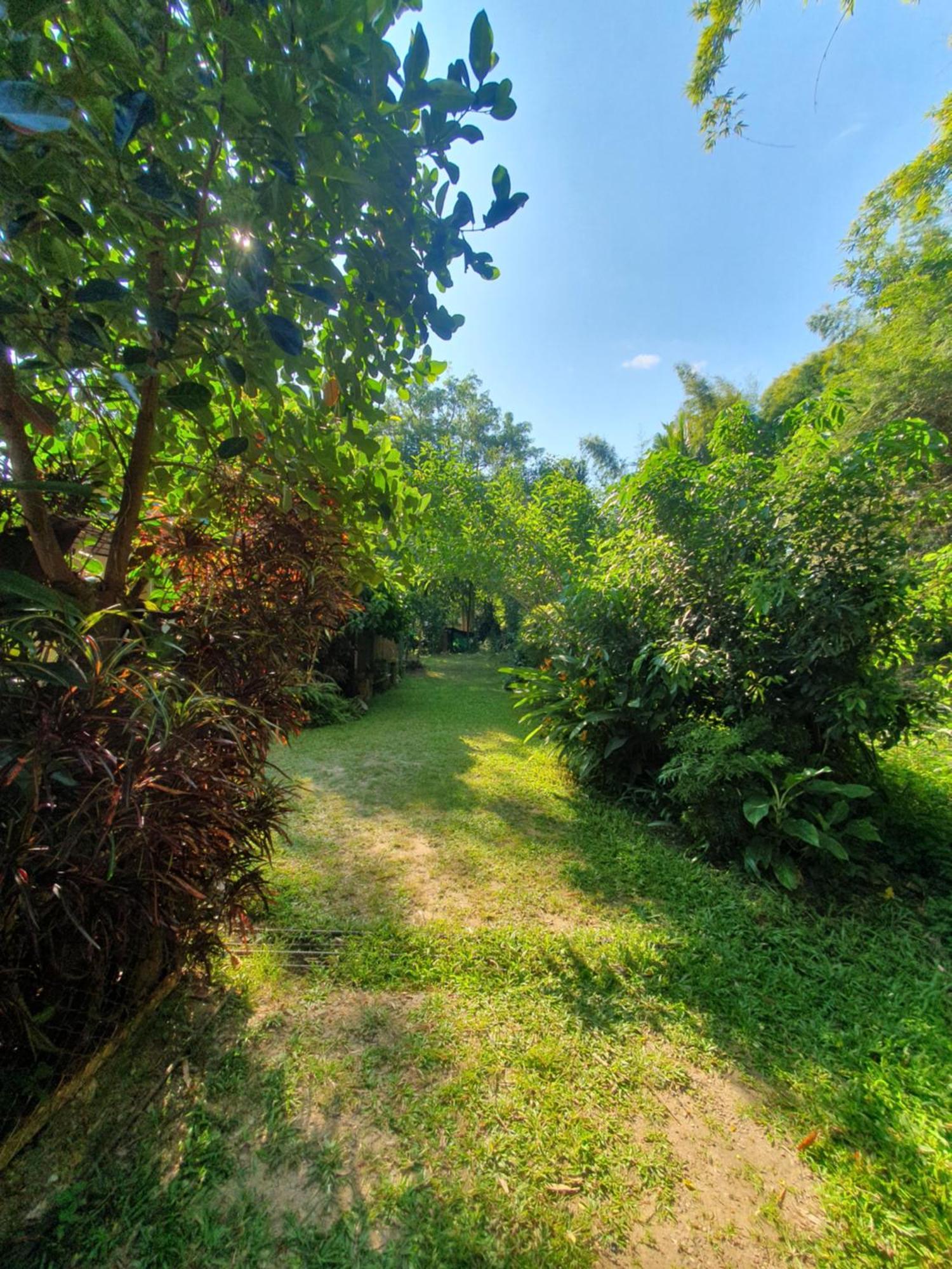 Mind'S Homestay มายด์โฮมสเตย์ Kampong Huaibu Zewnętrze zdjęcie